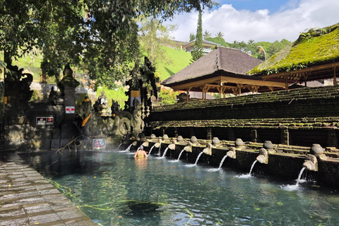 Bali: Holy Spring Temple Tour with Purification Ritual Basic Package Purification Ritual