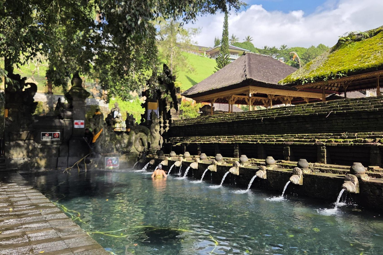 Bali: Holy Spring Temple Tour with Purification Ritual Basic Package Purification Ritual