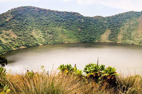 From Kigali: Mount Bisoke Volcano Hike with Transfer