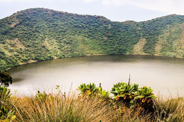 From Kigali: Mount Bisoke Volcano Hike with Transfer