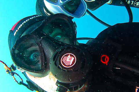 Tenerife: Privé Duiken - Gecertificeerd Instructeur &amp; Foto&#039;s