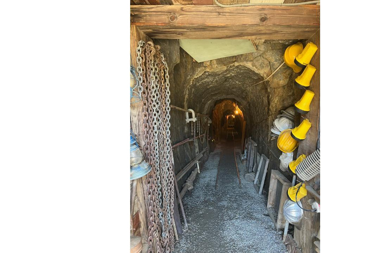 San Diego: Julian Gold Mine and Pie Tour