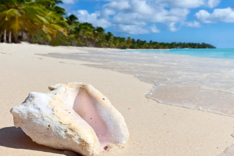 From Punta Cana: Saona Island Tour with 3 Beaches & Village