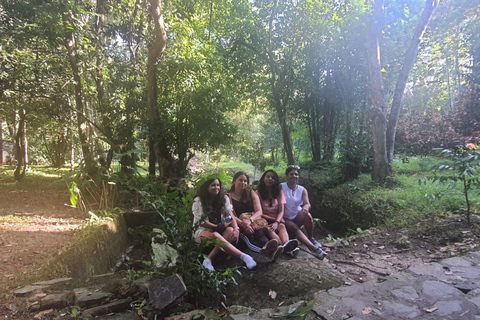 Half day Hiking Cat Ba National Park With guide