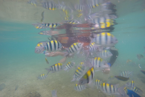 Lombok: Excursión en barco a las Islas Gili con snorkel