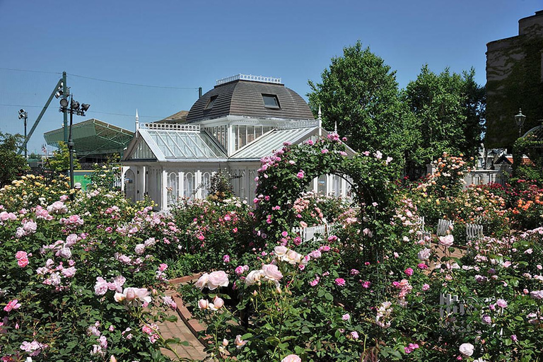 Sapporo: Private Customized Day Tour in Sappro City Private Customized Tour in Sapporo City