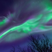 Kiruna: Northern Lights People Carrier Chase with Warm Drink