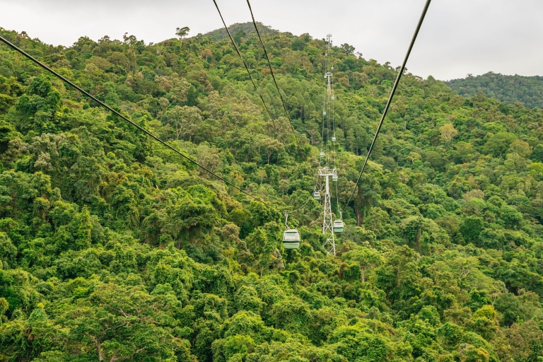 Queensland: visite d'une journée complète du meilleur de la forêt tropicale de KurandaPrise en charge depuis les hôtels de Cairns