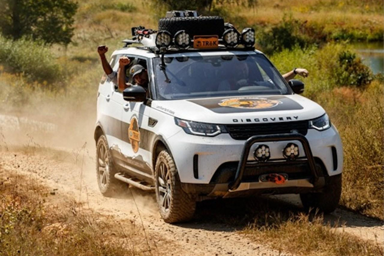 Whistler: Morning with the Bears Land Rover Scenic Tour