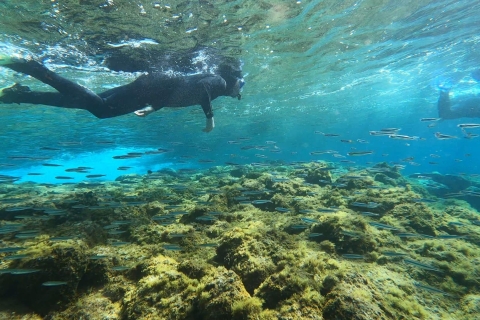 Abades : Excursion de snorkeling dans une zone marine protégée