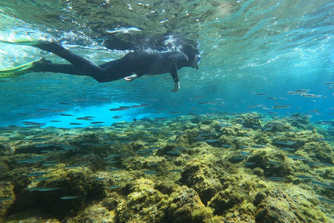 Abades : Excursion de snorkeling dans une zone marine protégée