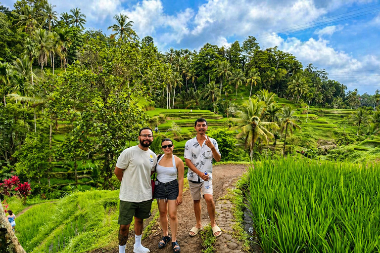 Ubud: Private Half-Day Tour Rice Terrace, Temple & Waterfall Private Ubud Half-Day Tour (Without Entrance Ticket)