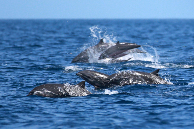 St. Lucia: Full-Day Private Fishing and Snorkeling Charter