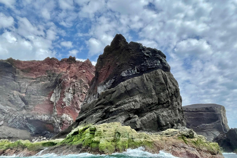 Isola di Faial: Tour unico in barca al vulcano Capelinhos