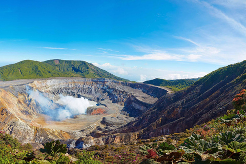 Volcan Poas: Tour della flora e della fauna del Parco Nazionale del Volcan Poas