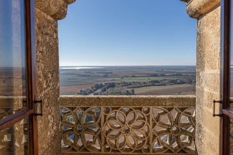 Visita guidata al Castello di Almodovar con ingresso inclusoVisita guidata al Castello di Almodovar con biglietto d&#039;ingresso incluso