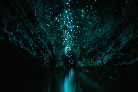 The Waitomo Experience : Okahua Glowworm Cave Tour