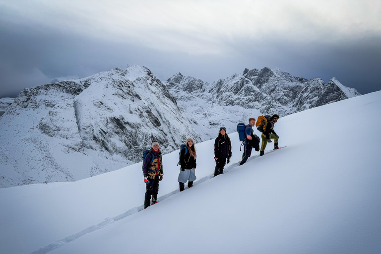 Reine: Winter Snowshoe Hike to Ryten – With Local Guide