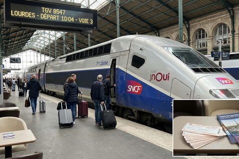 Lourdes Sanctuary Guided Tour with Transfers from Paris