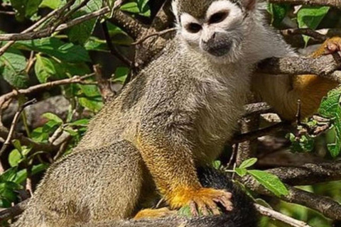 Quito: Zoo Tour with Transportation and Admission or Ticket