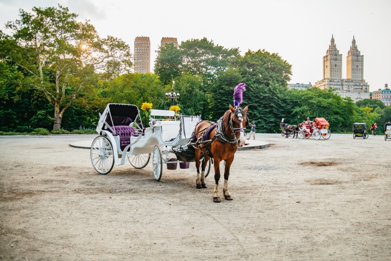 VIP Central Park Private Horse Carriage Ride VIP Private Guided Tour