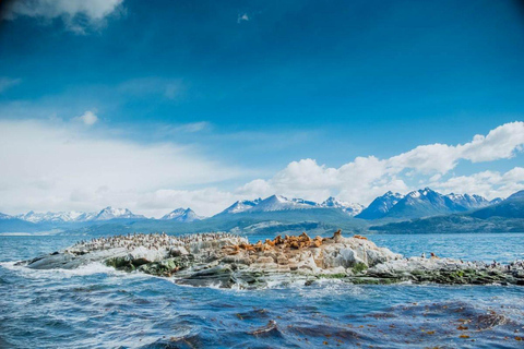 Ushuaia: Navigation through Beagle Channel & Bridges Islands