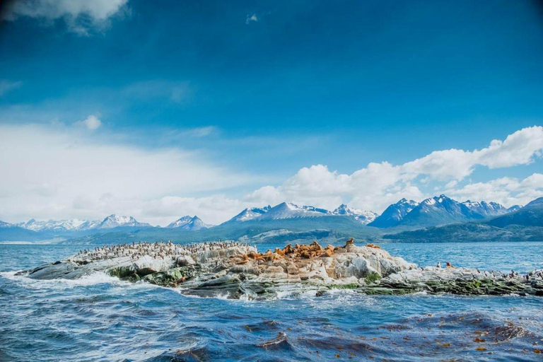 Ushuaia: Navigation through Beagle Channel & Bridges Islands