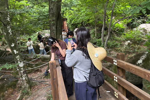 Busan: Saturday Temple Meditation & Tea Ceremony Tour Busan: Beomeosa Temple Meditation & Tea Ceremony Tour