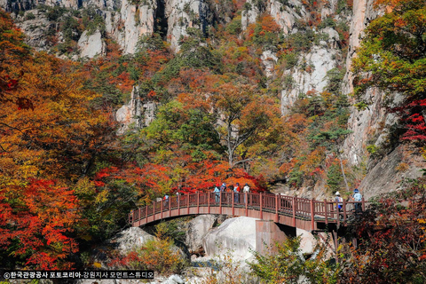 Seoul: Mt.Seorak, Nami Island, No ShoppingGruppe (Autumn Leaves), Treffen in Myeongdong