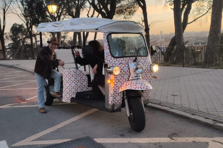 Madrid: City Tours - 6 seats private ecological tuk tuk Madrid: City Tour Highlights must see (1,5 hours)