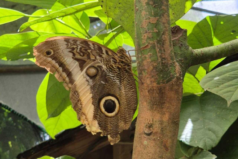 Mariposario Sierra Nevada Entry Ticket
