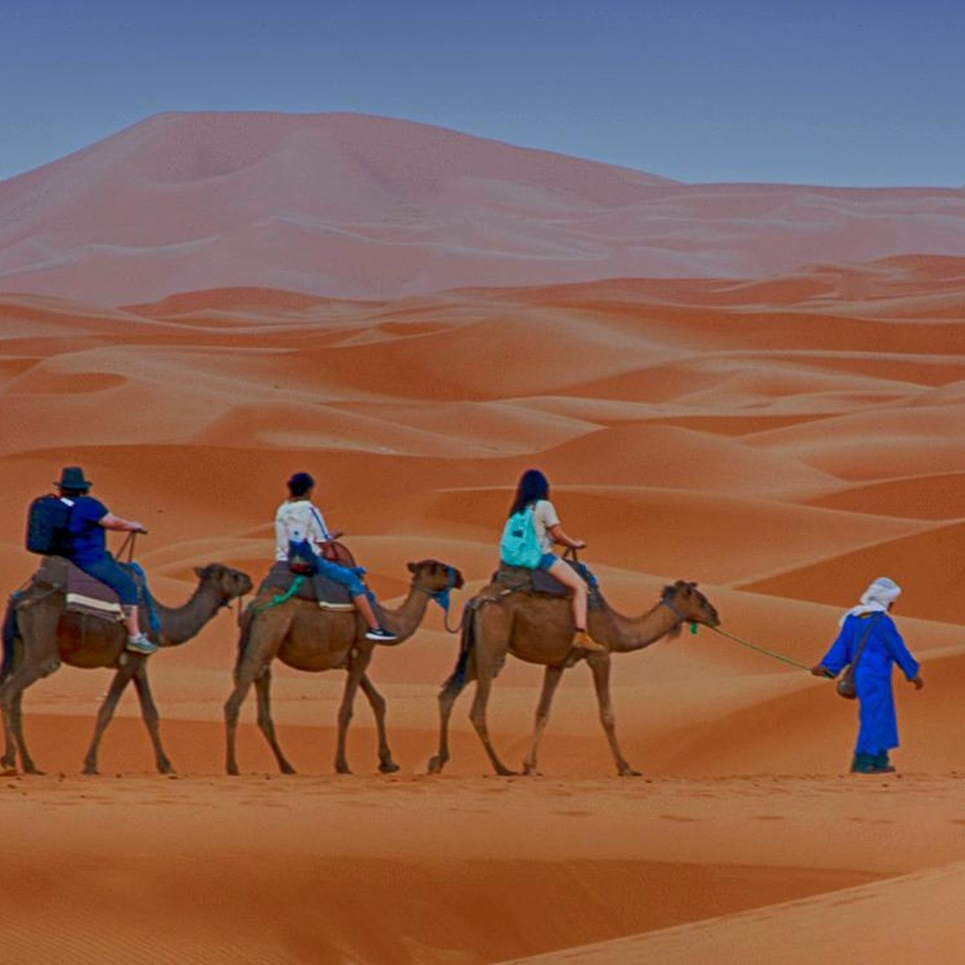 Depuis Marrakech : excursion de 3 jours dans le désert vers Merzouga avec dîner - dromadaire