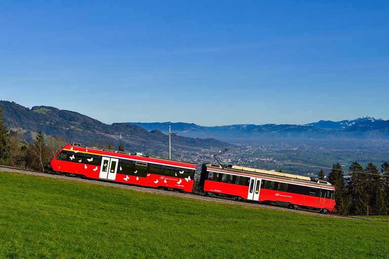 Train to Abbey Library & Appenzell: Culture, Cheese & Views Including all Tickets
