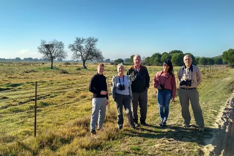 El Rocío: Doñana National Park 4x4 Guided Tour