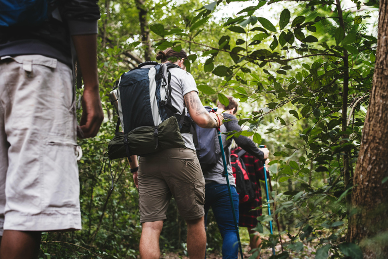 From Galle: Sinharaja Rainforest Trek & Village Lunch From Deniyaya: Private Tuk-Tuk, Rainforest Trek & Lunch