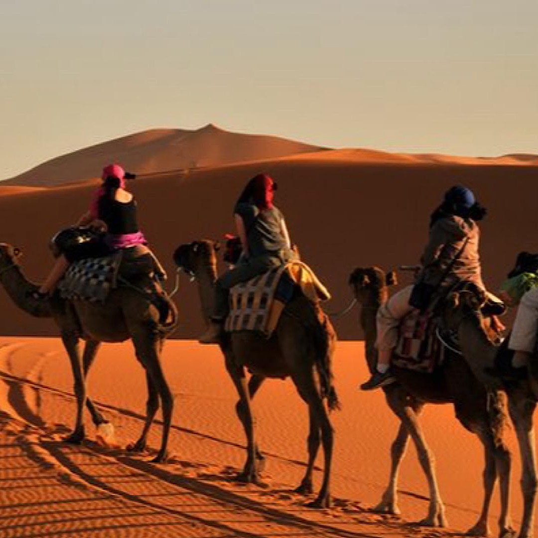 Agadir : balade à dos de chameau, quad et sandboard dans les dunes de Timlalin
