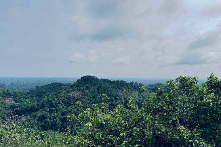 From Colombo: Cave Temples, Jungle Trek & Waterfall Swim