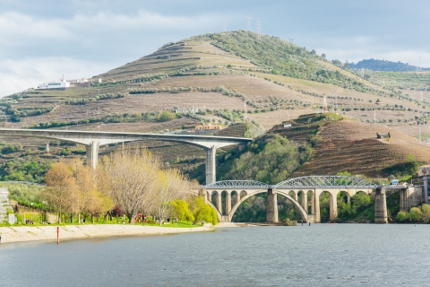 Depuis Porto : croisière sur le Douro vers Régua avec repas