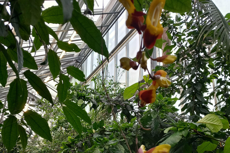 Tallinn TV tower and Botanic garden (a tour with a guide)