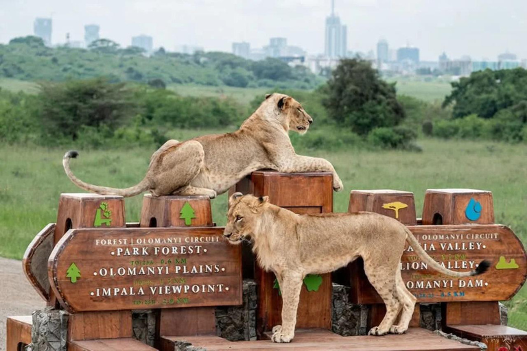 Nairobi: The Wild & The Brew Experience