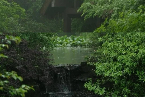 Shanghai: Fengmingshan Immortal Valley Private Day Trip