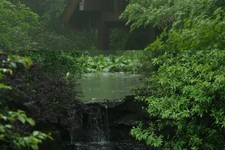 Shanghai: Fengmingshan Immortal Valley Private Day Trip