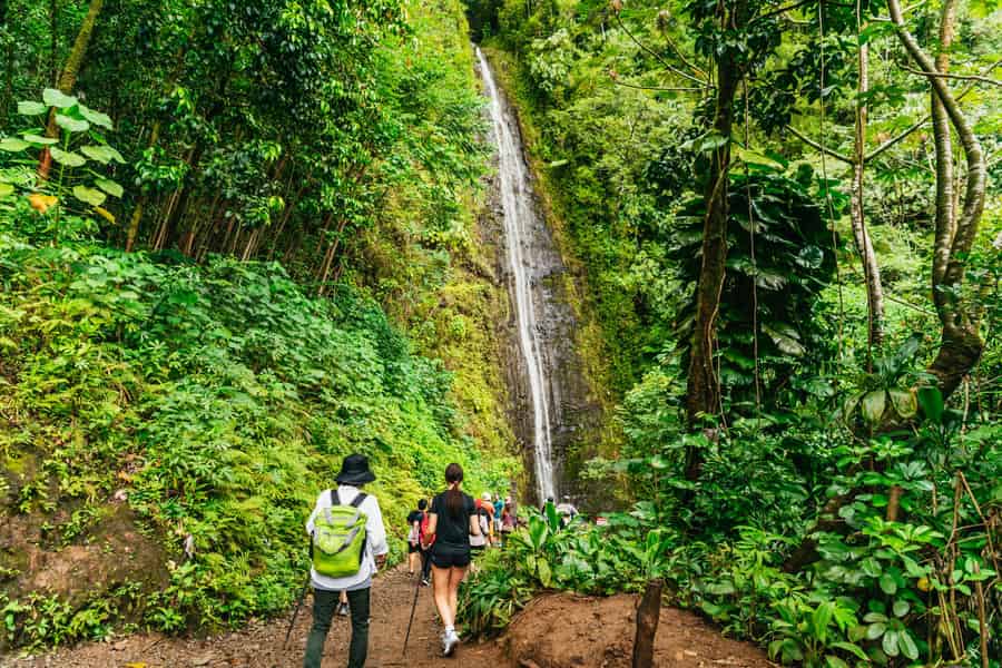 Oahu: Manoa Falls Wasserfall-Wanderung mit Mittagessen und Transfers. Foto: GetYourGuide