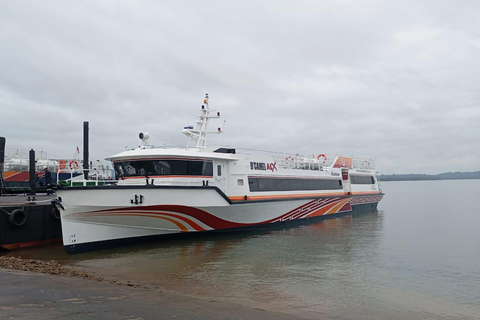 Gili Islands/Lombok: Bali Fast Ferry Transfer with Hostess Padang Bai to Lembongan
