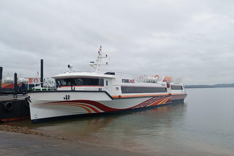 Gili Islands/Lombok: Bali Fast Ferry Transfer with Hostess Padang Bai to Lembongan