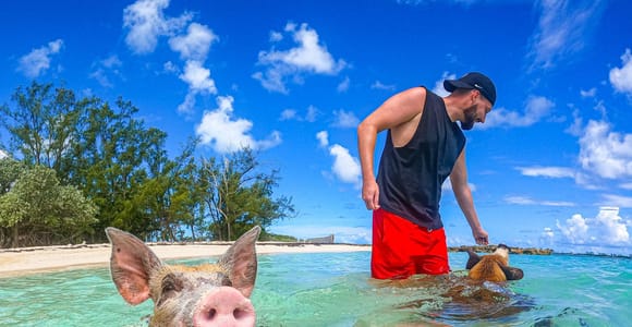 Swimming Pigs Express Tour – 2 Islands, Under 3 Hours