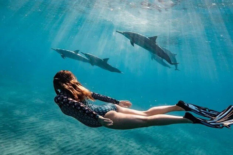 Nungwi:Mnemba Snorkeling,Dolphins, Kayak+Drone & Sunset Dhow Mnemba Snorkeling,Dolphins,Starfish tour&Susnet Dhow