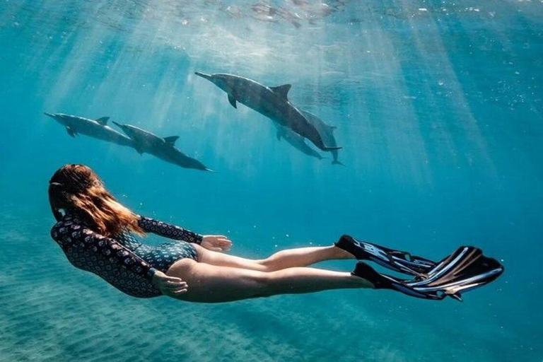 Nungwi:Mnemba Snorkeling,Dolphins, Kayak+Drone & Sunset Dhow Mnemba Snorkeling,Dolphins,Starfish tour&Susnet Dhow