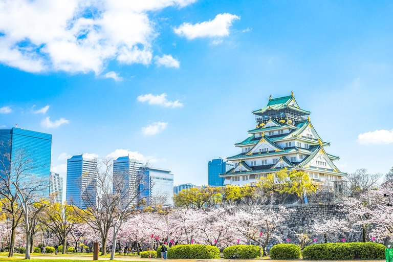 Dit is de beste wandeltour, alle must-sees in Osaka!