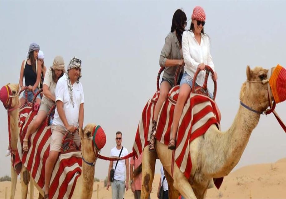 Dubai Safaris Desert Camel Ride Sandboard Bbq Shows Getyourguide